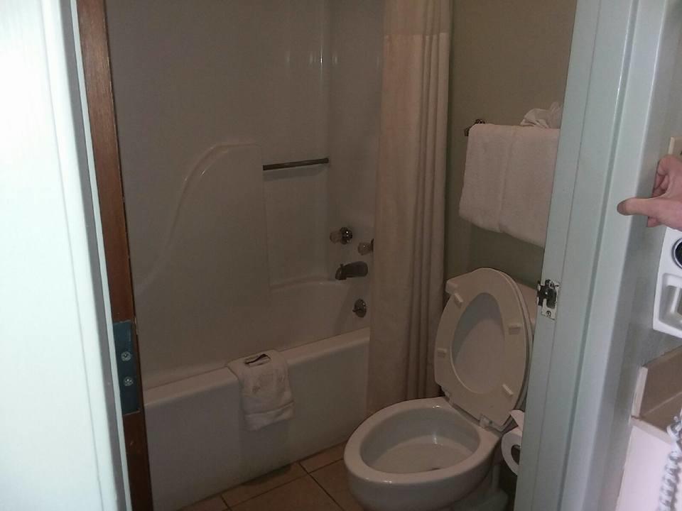 Springfield Inn Tn المظهر الخارجي الصورة
